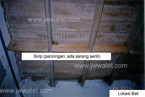 Pemakaian sarang pancing seriti JW Walet, lokasi Bali