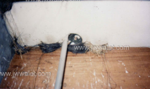 Penggunaan kaca galah JW Walet dengan ketinggian 3 - 5 m