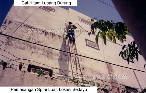 Spray luar yang sangat memikat burung masuk ke rumah walet, lokasi sedayu
